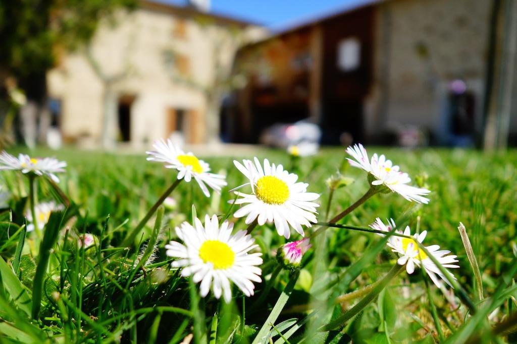 La Ferme Des Denis Chambres Dhotes Chanos-Curson Ngoại thất bức ảnh